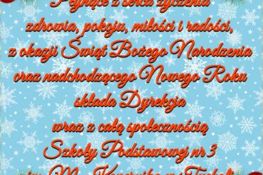 Turniej Piłki Siatkowej Drużyn Mieszanych