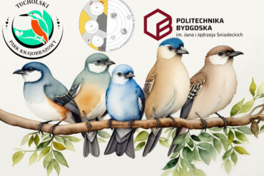 Podsumowanie XIV edycji powiatowego konkursu „Szanuję i podziwiam”